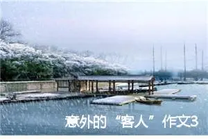 意外的“客人”作文300字_小学一年级作文