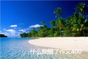 什么我错了作文400字