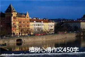 植树心得作文450字