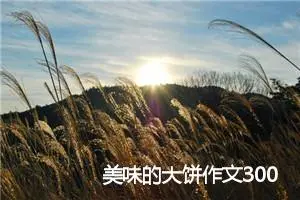 美味的大饼作文300字_小学二年级作文