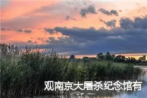 观南京大屠杀纪念馆有感作文600字