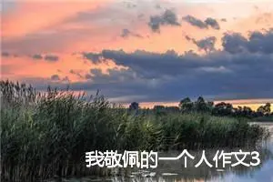 我敬佩的一个人作文350字