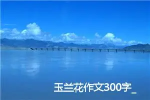 玉兰花作文300字_小学三年级作文