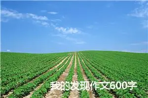 我的发现作文600字_小学三年级作文