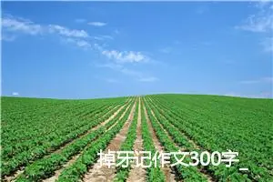 掉牙记作文300字_小学二年级作文