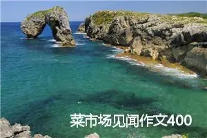 菜市场见闻作文400字_小学三年级作文