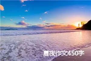 夏夜作文450字
