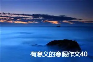 有意义的寒假作文400字_小学二年级作文
