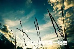2022年的第一场雪作文350字_小学二年级作文