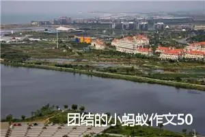 团结的小蚂蚁作文500字_小学二年级作文