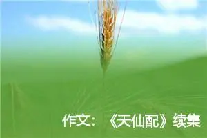 作文：《天仙配》续集