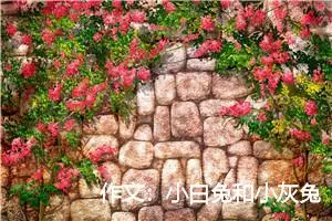 作文：小白兔和小灰兔