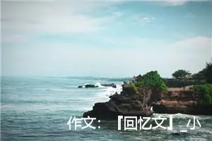 作文：『回忆文』_小仪素质