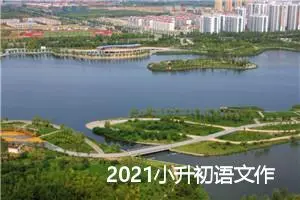 2021小升初语文作文预测-父母的爱_作文1350字_小升初作文