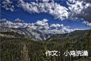 作文：小鸡洗澡