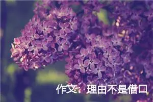 作文：理由不是借口