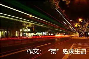 作文：“荒”岛求生记 一、 奇怪的叫花子