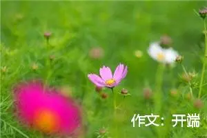 作文：开端