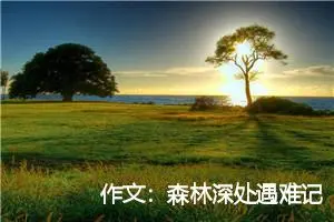 作文：森林深处遇难记