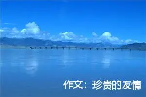 作文：珍贵的友情
