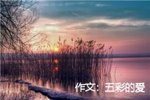 作文：五彩的爱