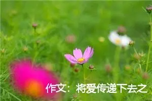 作文：将爱传递下去之捡破烂的老人
