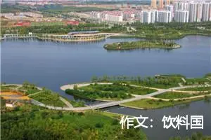 作文：饮料国