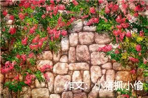 作文：小猪抓小偷