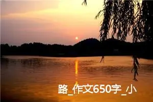 路_作文650字_小学书信作文