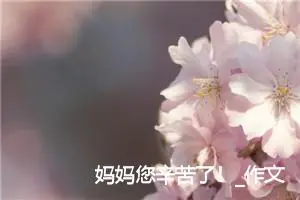 妈妈您辛苦了！_作文850字_小学书信作文