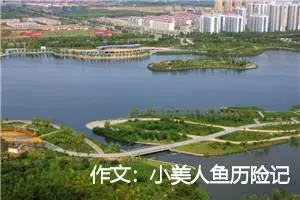 作文：小美人鱼历险记１5