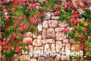 小升初作文十条心得_作文200字_小升初作文
