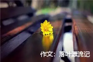 作文：落叶漂流记