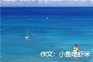 作文：小鱼吃虾米