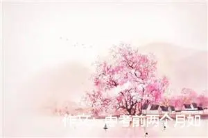 作文：中考前两个月如何进行语文复习