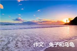 作文：兔子和乌龟