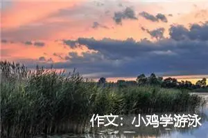 作文：小鸡学游泳