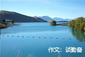 作文：谈勤奋