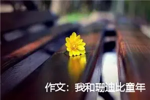 作文：我和珊迪比童年