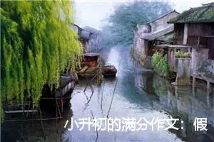 小升初的满分作文：假如我是一条鱼_作文600字_小升初作文