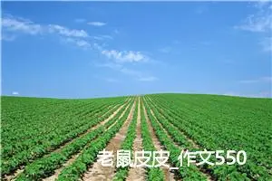 老鼠皮皮_作文550字_小学生童话作文