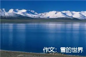 作文：雪的世界
