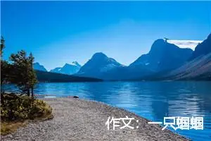 作文：一只蝈蝈