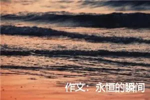 作文：永恒的瞬间