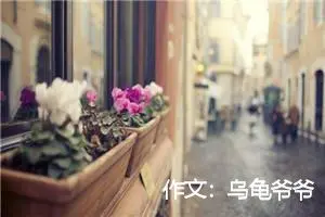 作文：乌龟爷爷