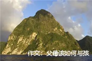 作文：父母该如何与孩子一同上网