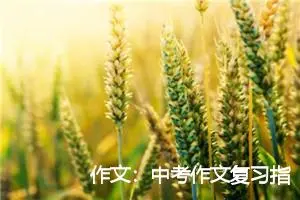 作文：中考作文复习指导：如何写好命题作文