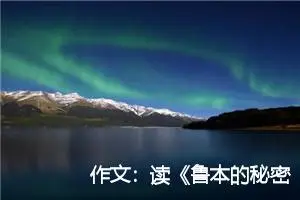 作文：读《鲁本的秘密》有感