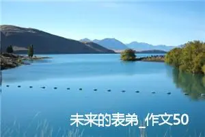 未来的表弟_作文500字_小学书信作文