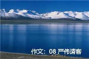 作文：08 严伟请客